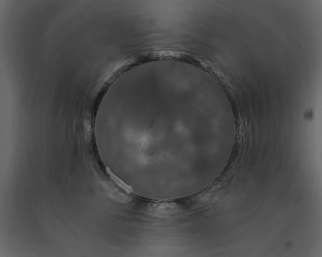 X0000091530716200708241712