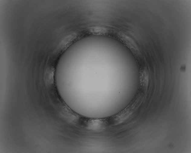 X0000091530717200708241712