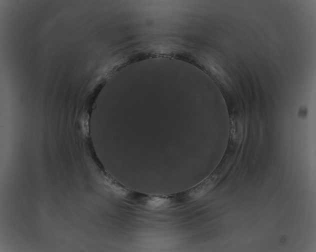 X0000091530718200708241712