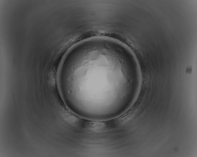 X0000091530719200708241712