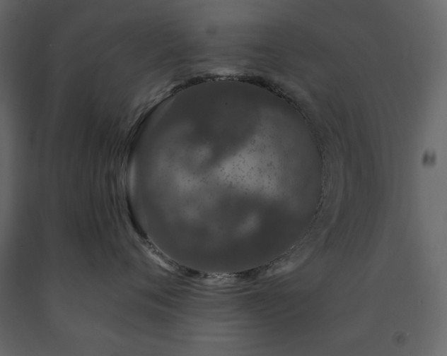 X0000091530720200708241712