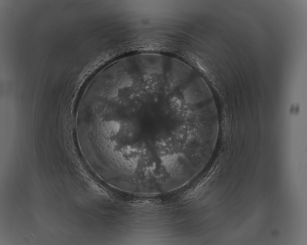 X0000091530721200708241711
