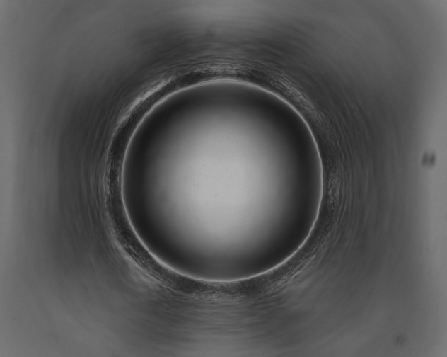 X0000091530722200708241711
