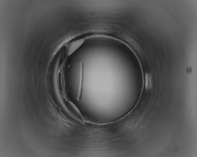 X0000091530723200708241711