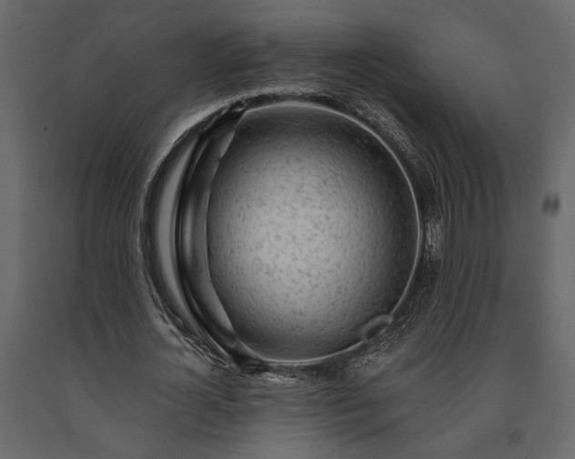 X0000091530724200708241711