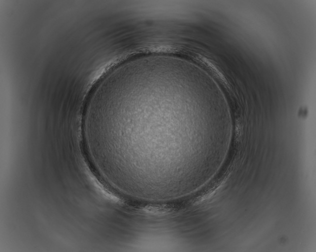 X0000091530725200708241711