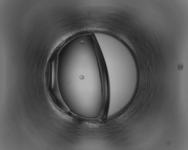 X0000091530726200708241711