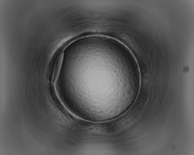 X0000091530727200708241711