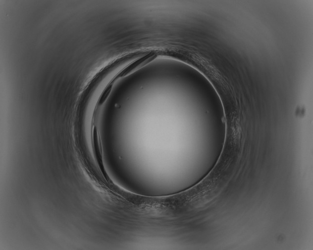 X0000091530728200708241711