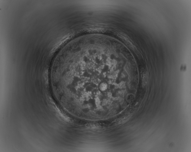 X0000091530729200708241711