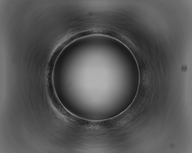 X0000091530730200708241711