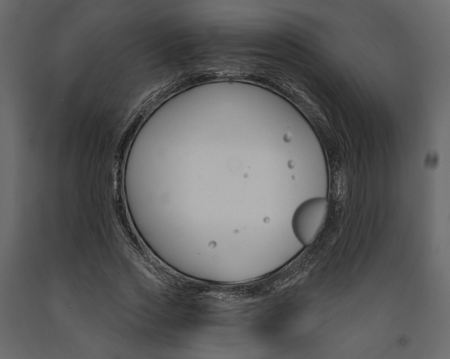 X0000091530733200708241711