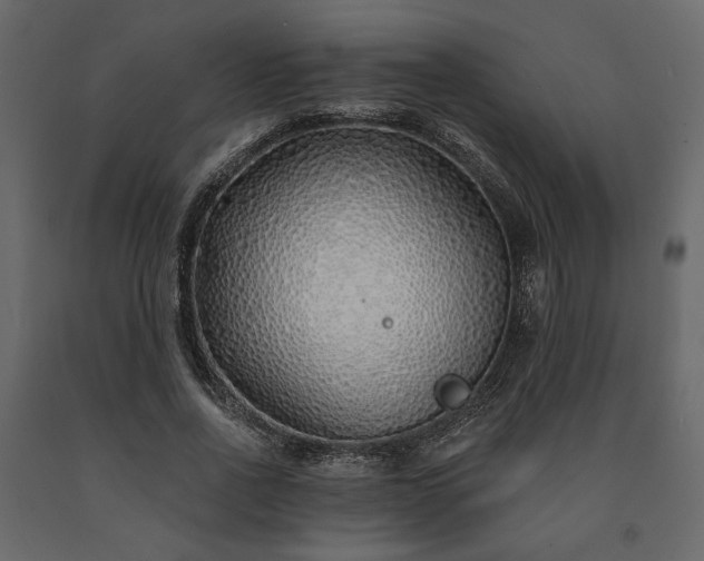 X0000091530734200708241711