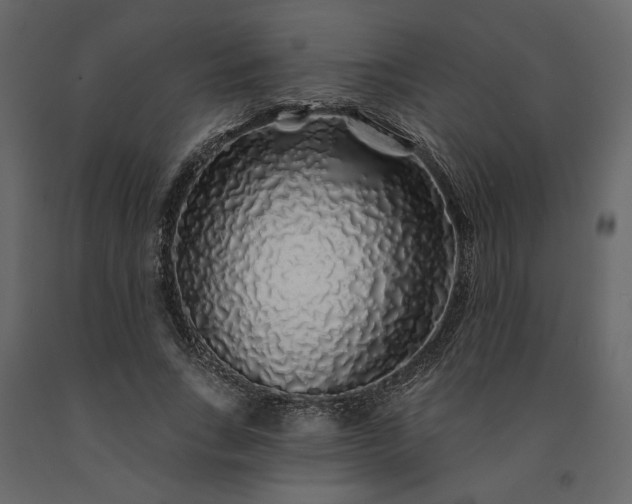 X0000091530735200708241711