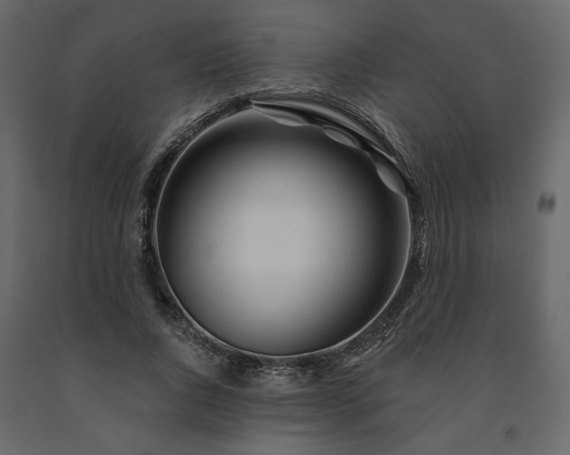 X0000091530736200708241711