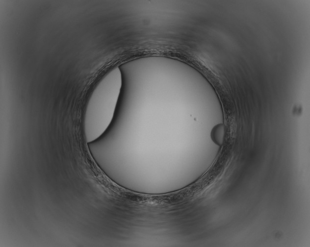 X0000091530737200708241711