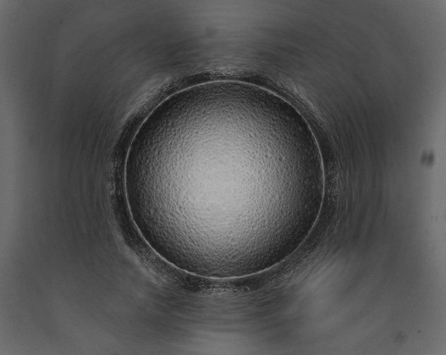X0000091530738200708241711