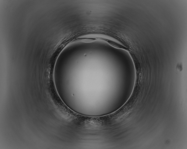 X0000091530739200708241711