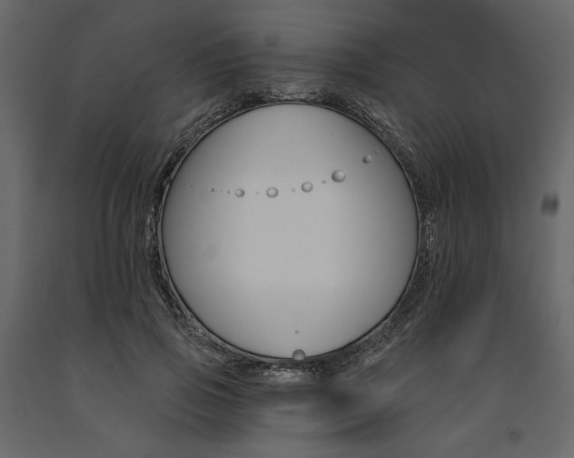 X0000091530741200708241711