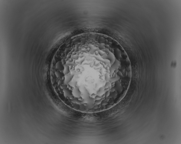 X0000091530742200708241711