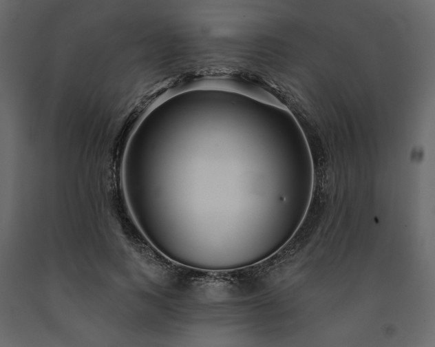X0000091530743200708241711