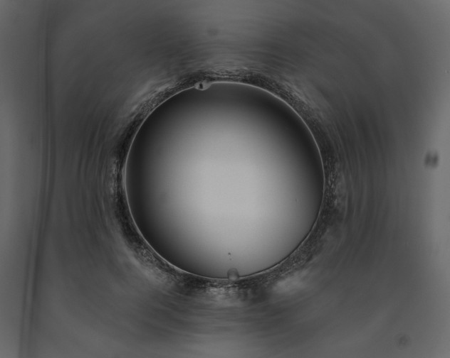 X0000091530744200708241711
