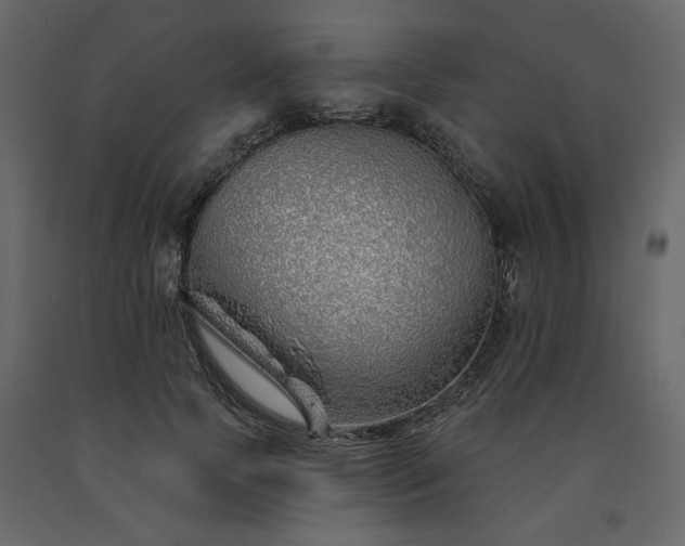 X0000091530745200708241711