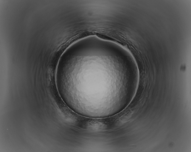 X0000091530747200708241711