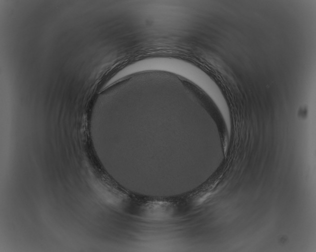 X0000091530748200708241711