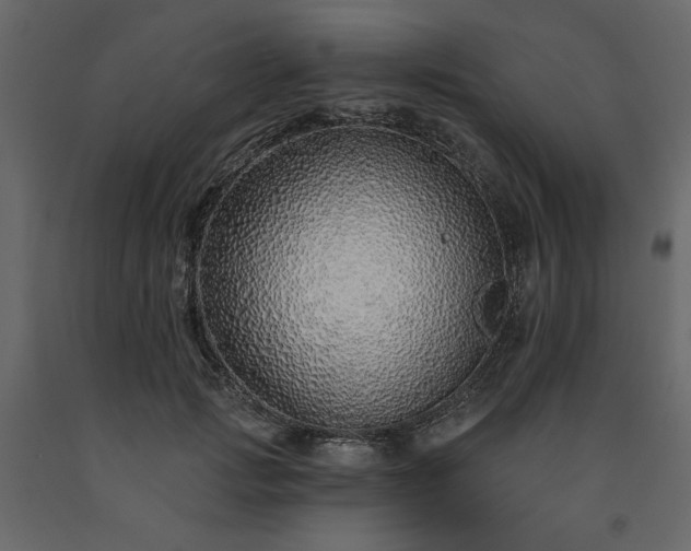 X0000091530749200708241711