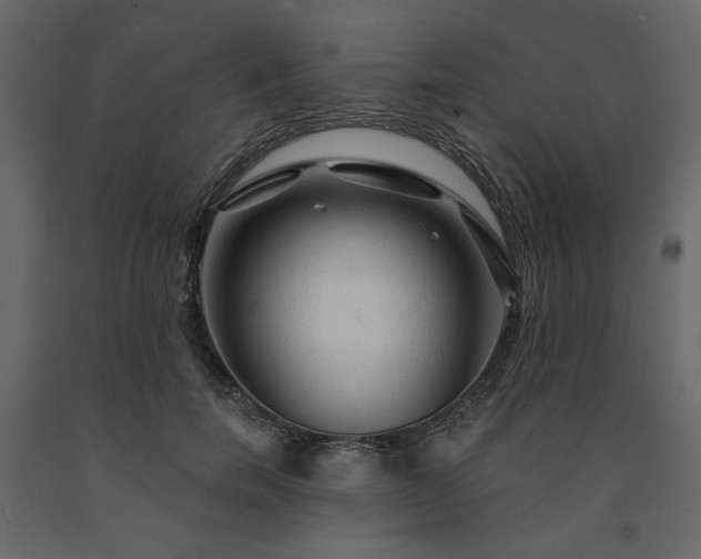 X0000091530750200708241711