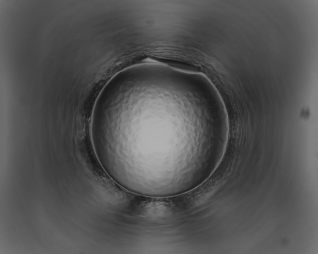 X0000091530751200708241711