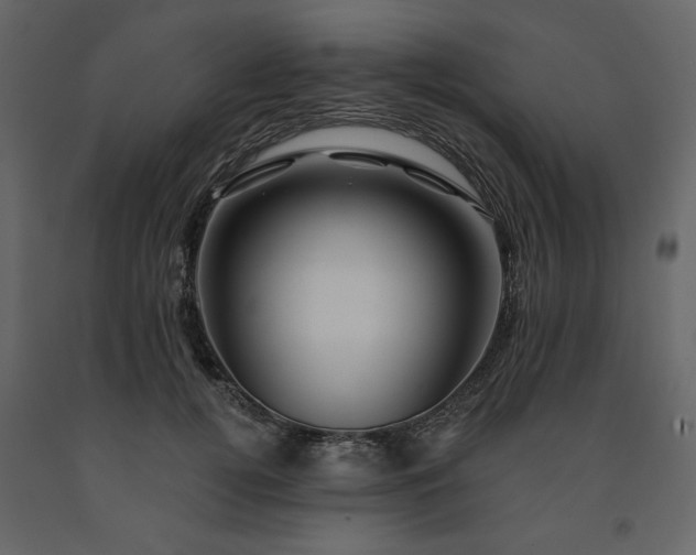 X0000091530752200708241711