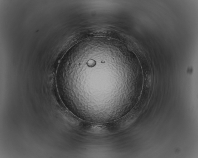 X0000091530753200708241711