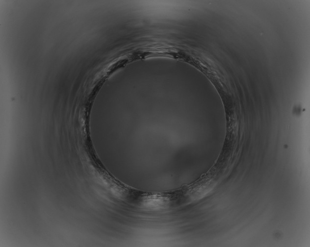 X0000091530754200708241712