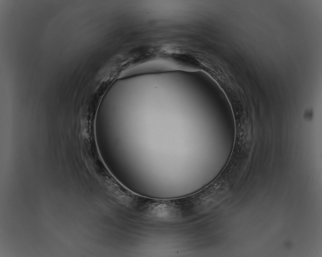 X0000091530755200708241712