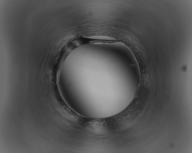 X0000091530756200708241712