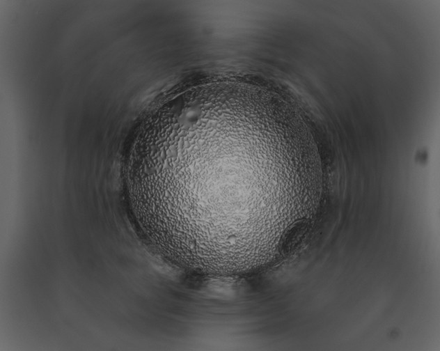 X0000091530757200708241712