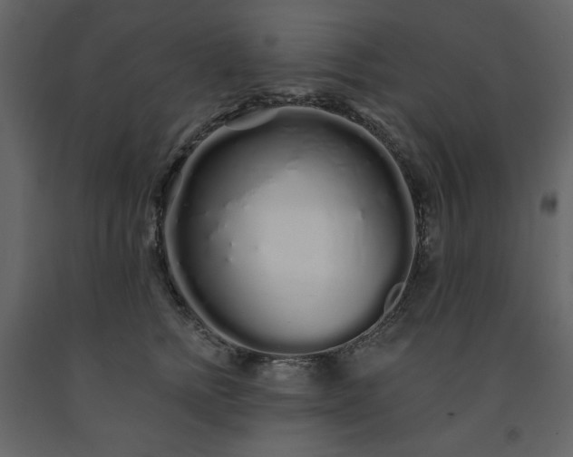 X0000091530758200708241712