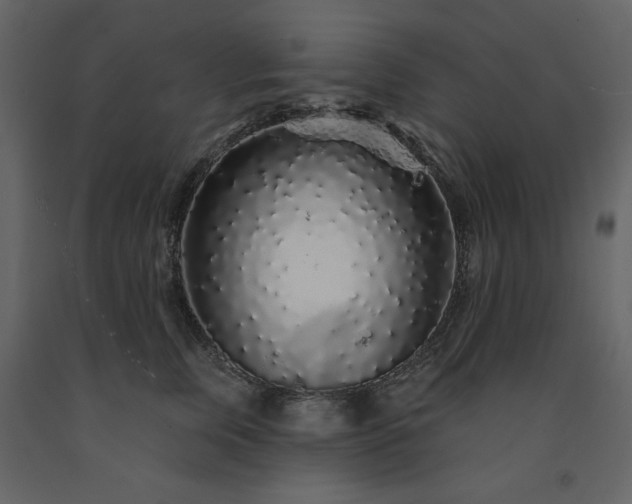 X0000091530759200708241712