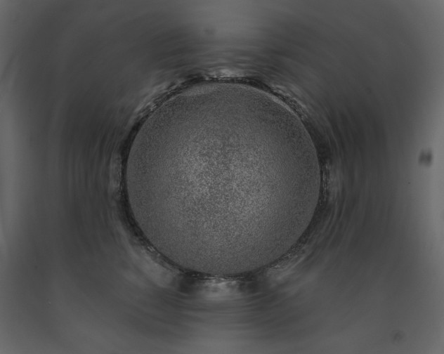X0000091530760200708241712