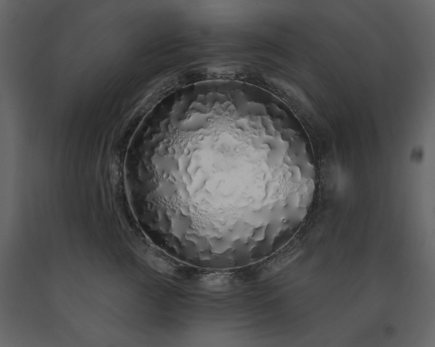 X0000091530761200708241712