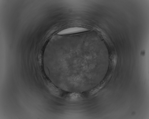 X0000091530762200708241712
