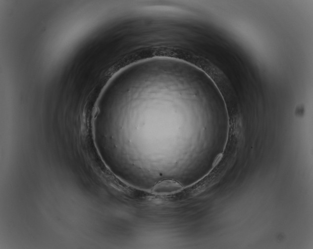 X0000091530763200708241712