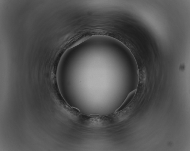 X0000091530764200708241712