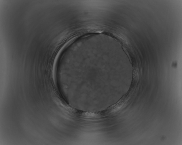 X0000091530766200708241712