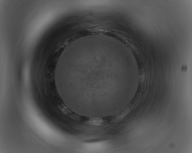 X0000091530767200708241712
