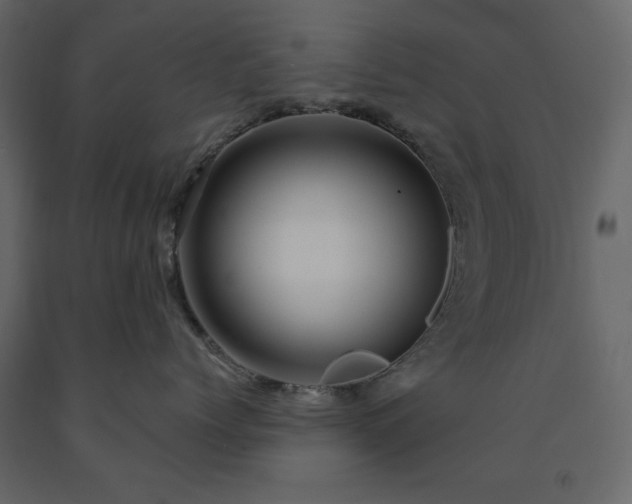 X0000091530768200708241712