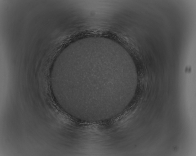 X0000091530769200708241711