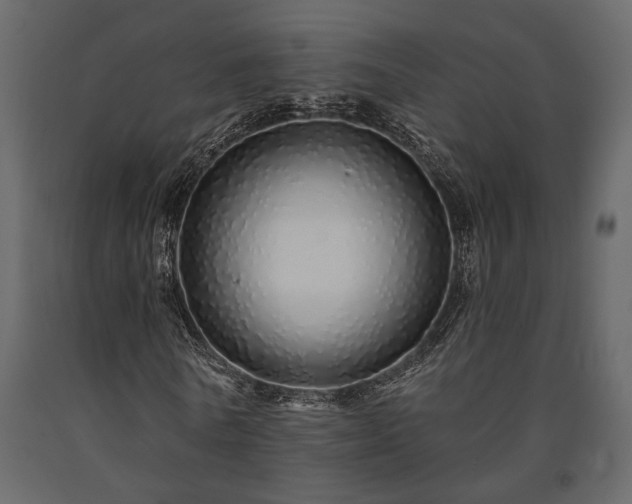 X0000091530770200708241711